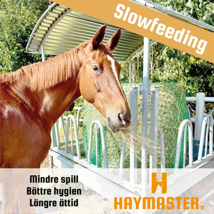 Slow feeding hönät storbal