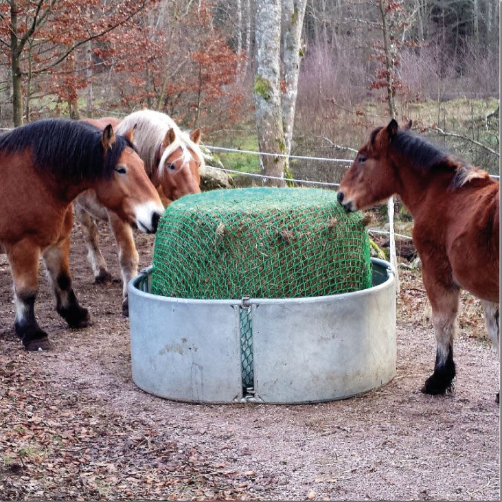 Slowfeed Hönät