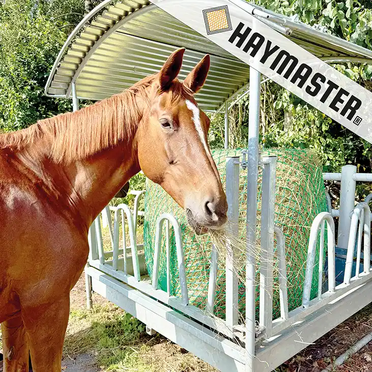 slow feeding hönät storbal