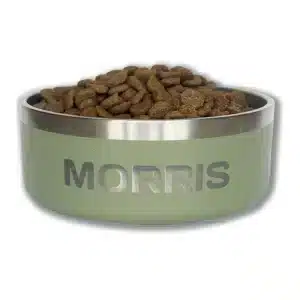 Dog bowl Sage green